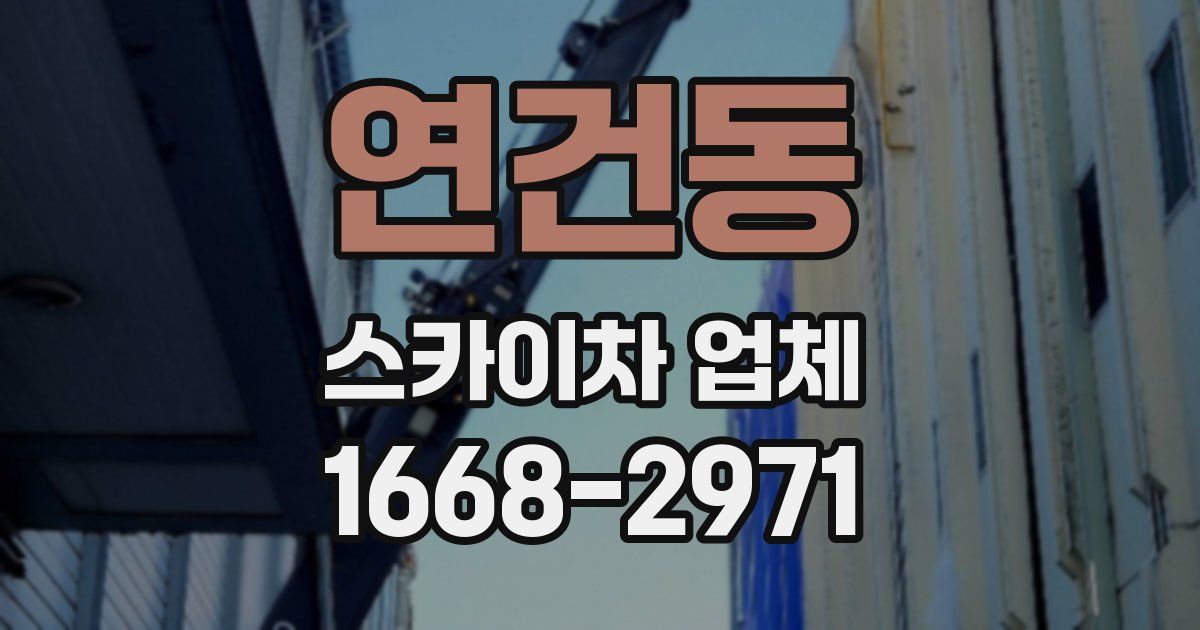 연건동 스카이차 업체