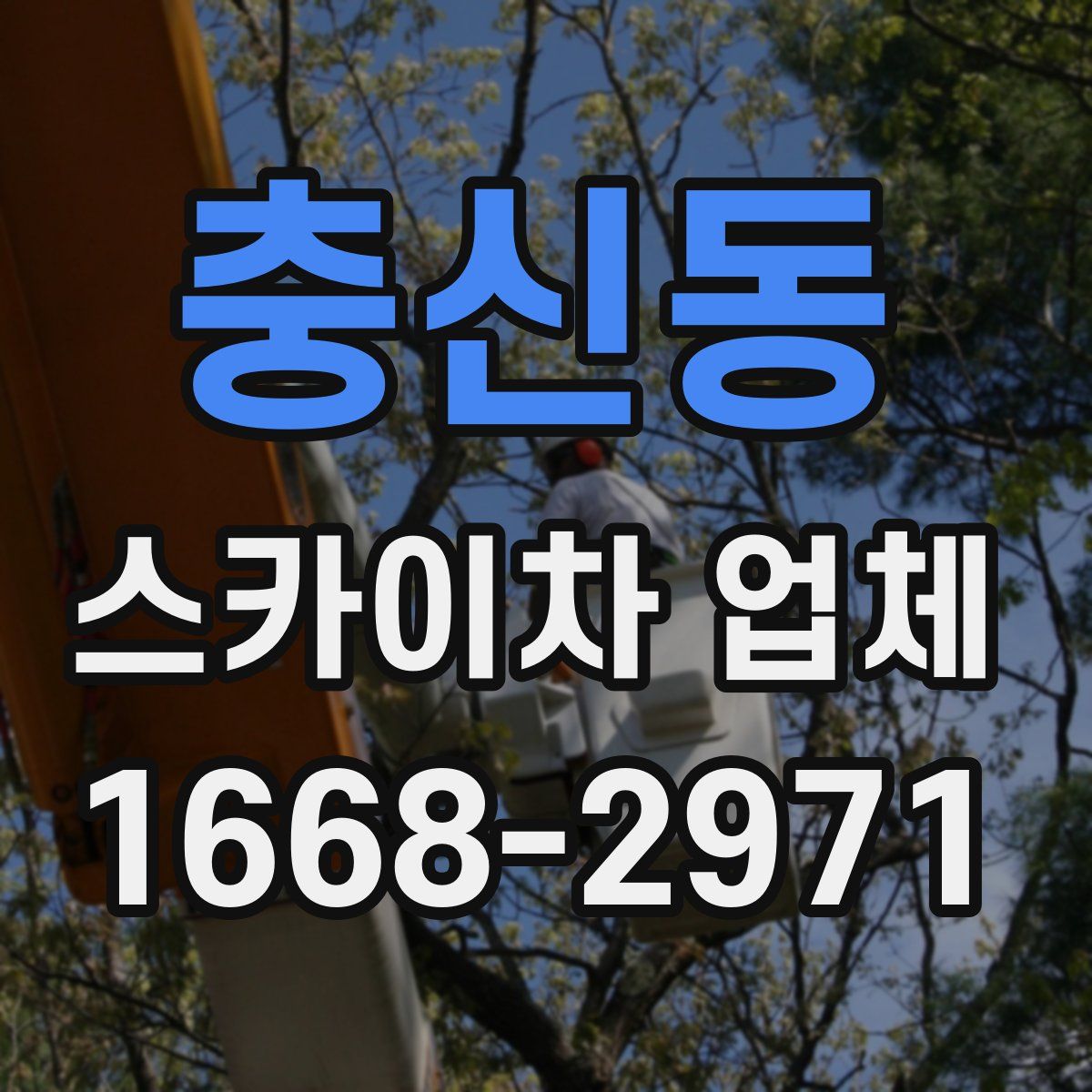 충신동 스카이차 업체