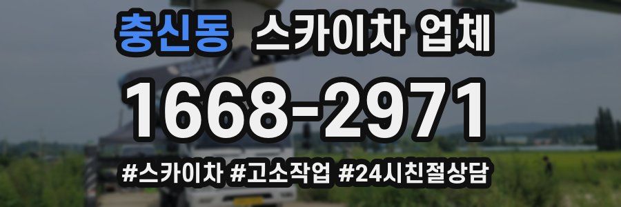 충신동 스카이차 업체