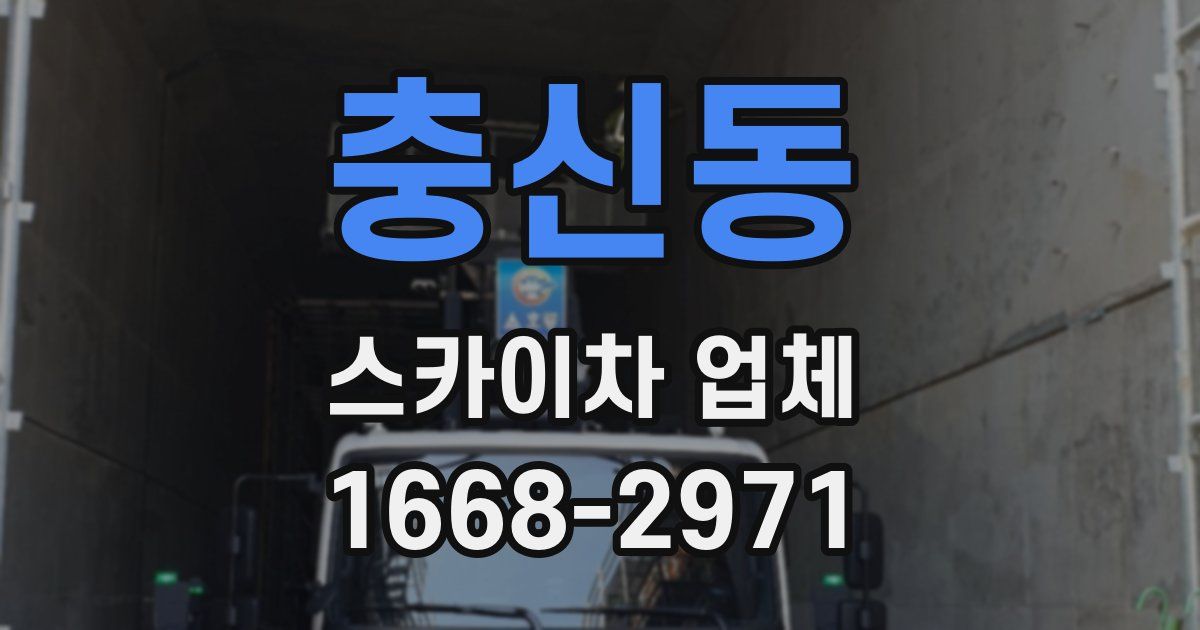 충신동 스카이차 업체