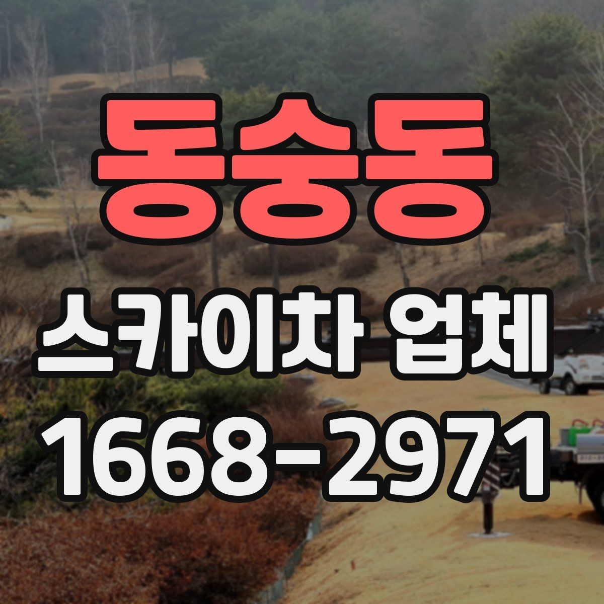 동숭동 스카이차 업체 의뢰 전 작업 조건 확인하기