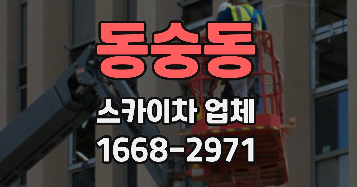 동숭동 스카이차 업체