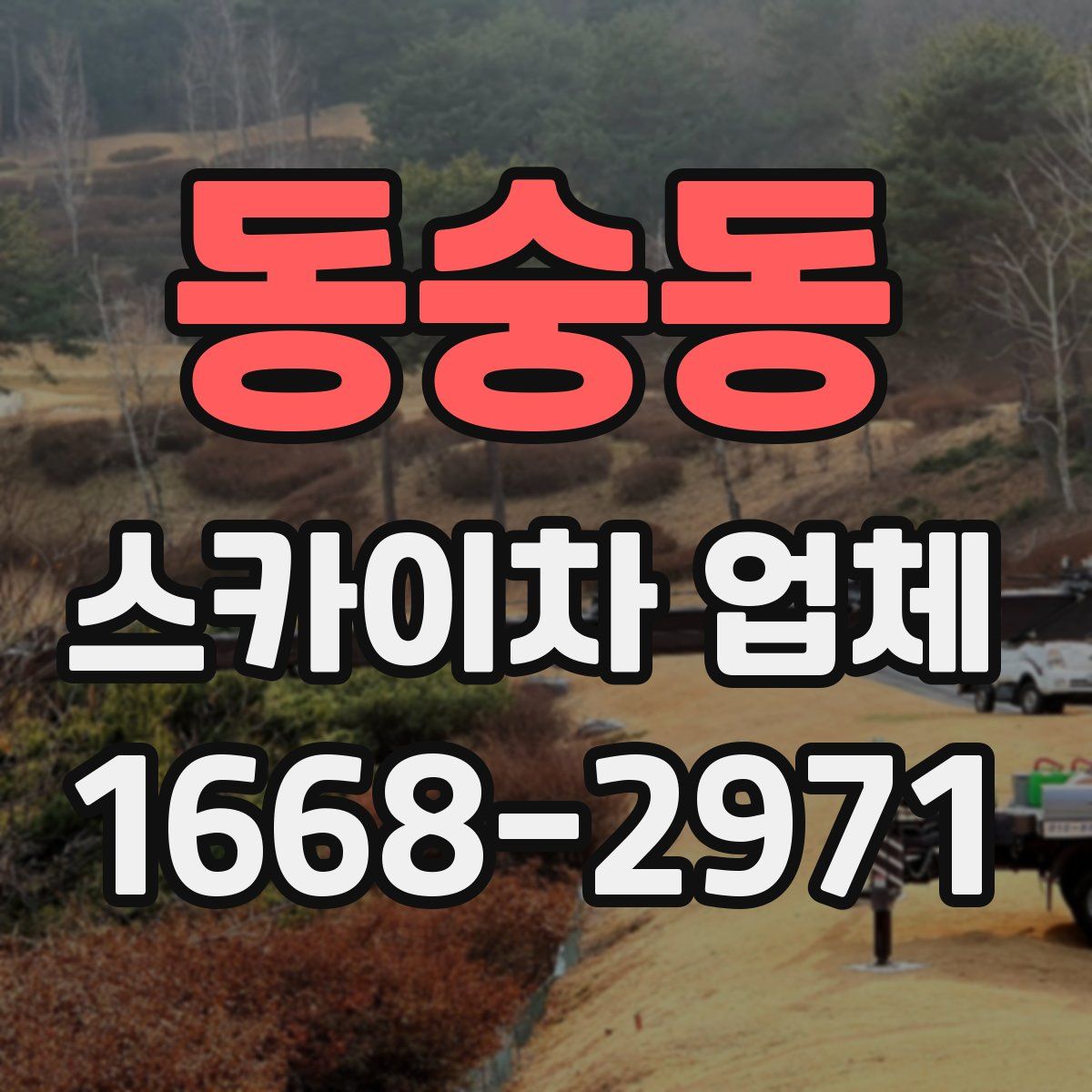 동숭동 스카이차 업체