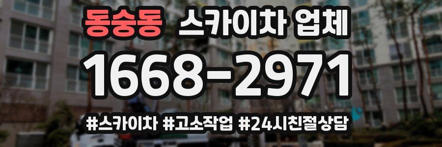 동숭동 스카이차 업체
