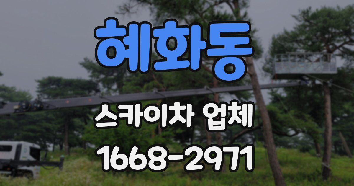 혜화동 스카이차 업체