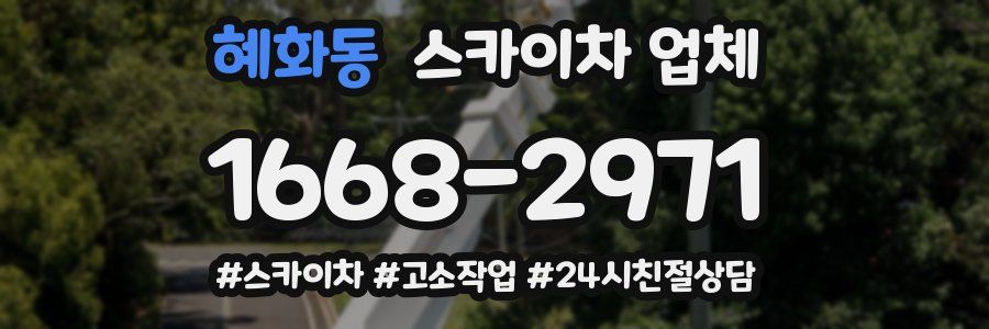 혜화동 스카이차 업체