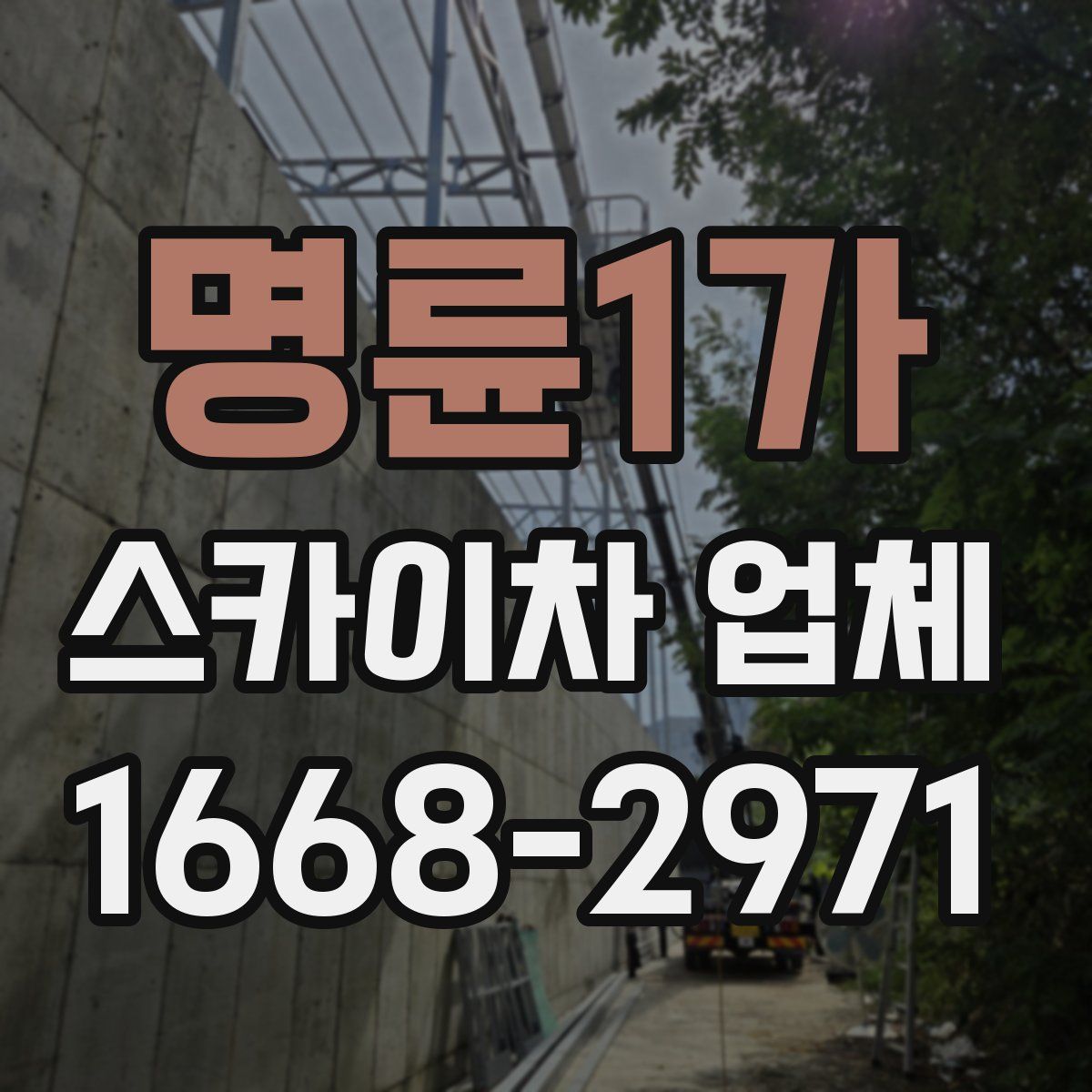 명륜1가 스카이차 업체