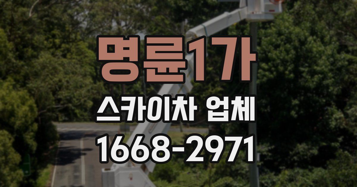 명륜1가 스카이차 업체
