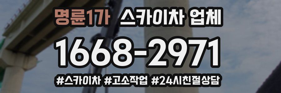 명륜1가 스카이차 업체