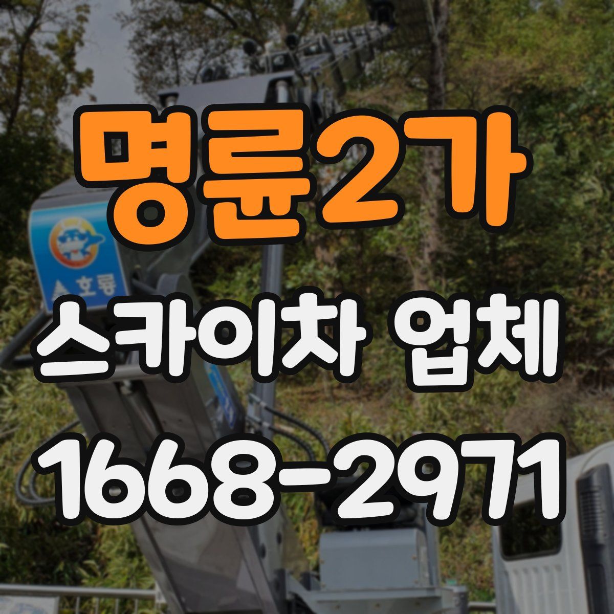 명륜2가 스카이차 업체