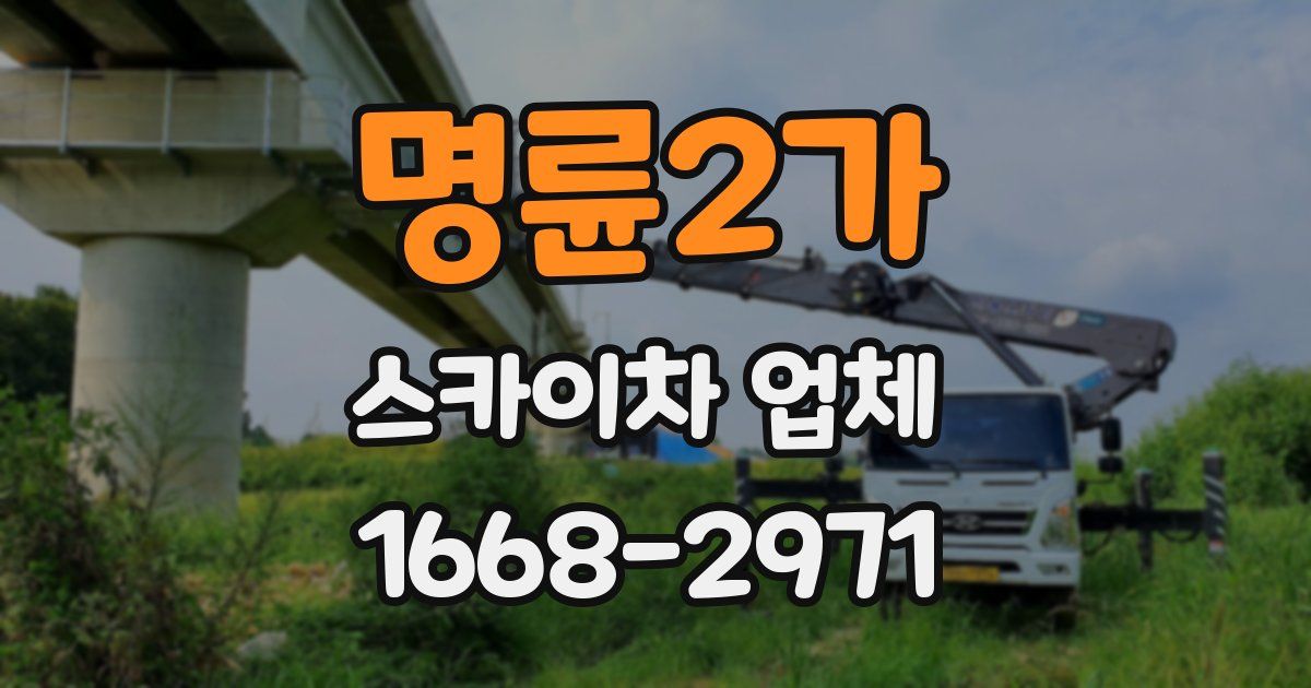 명륜2가 스카이차 업체