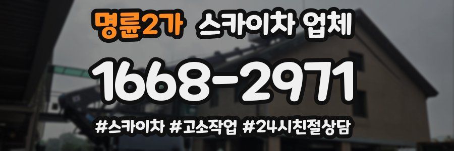명륜2가 스카이차 업체