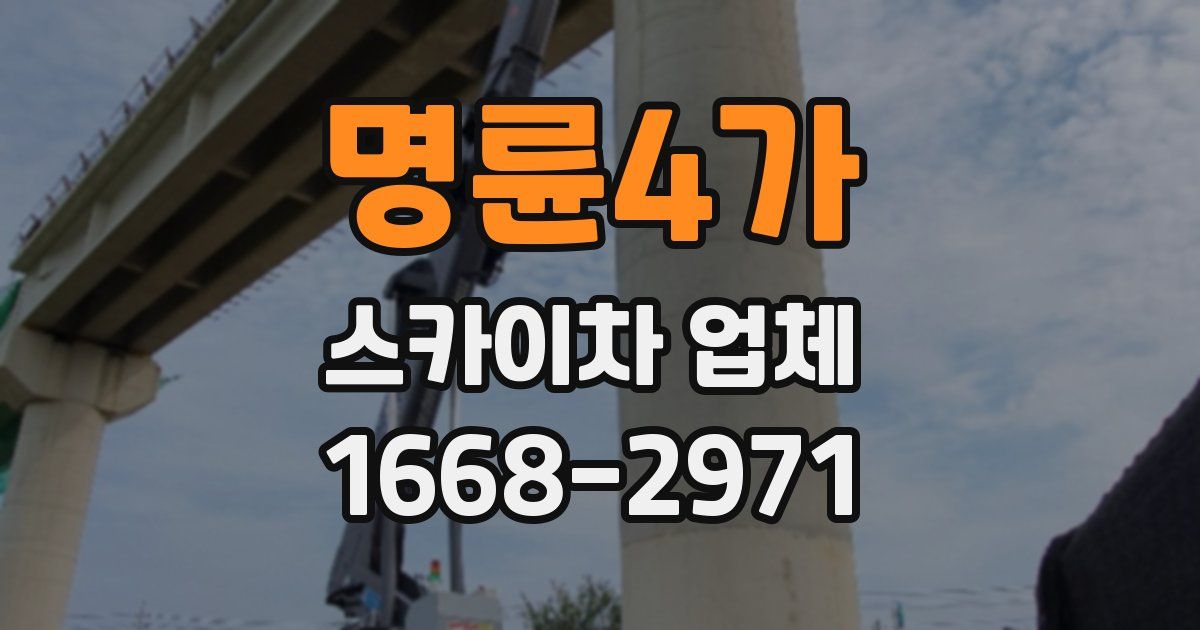 명륜4가 스카이차 업체