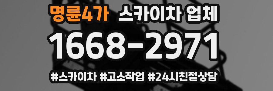명륜4가 스카이차 업체