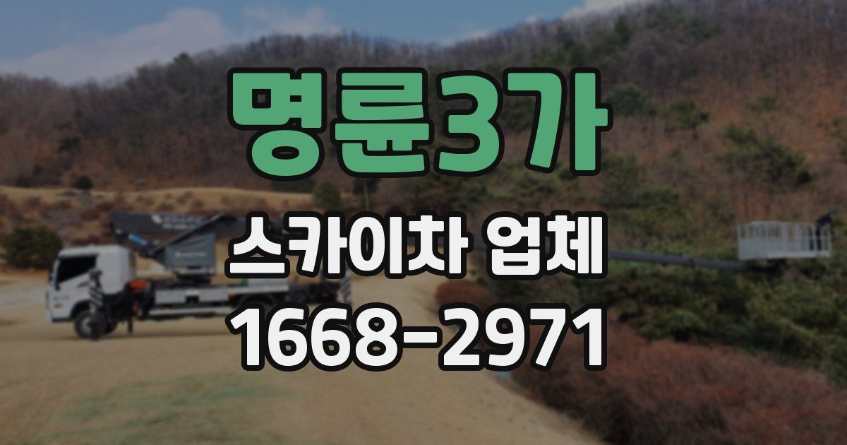 명륜3가 스카이차 업체