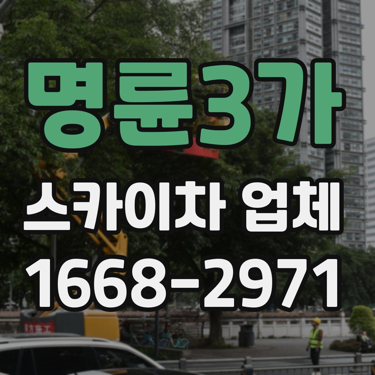 명륜3가 스카이차 업체