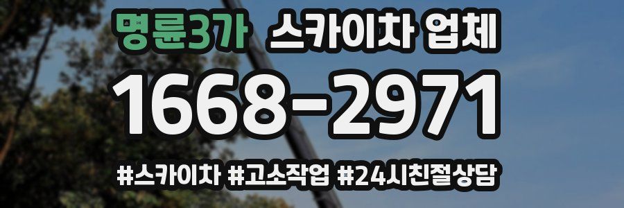명륜3가 스카이차 업체
