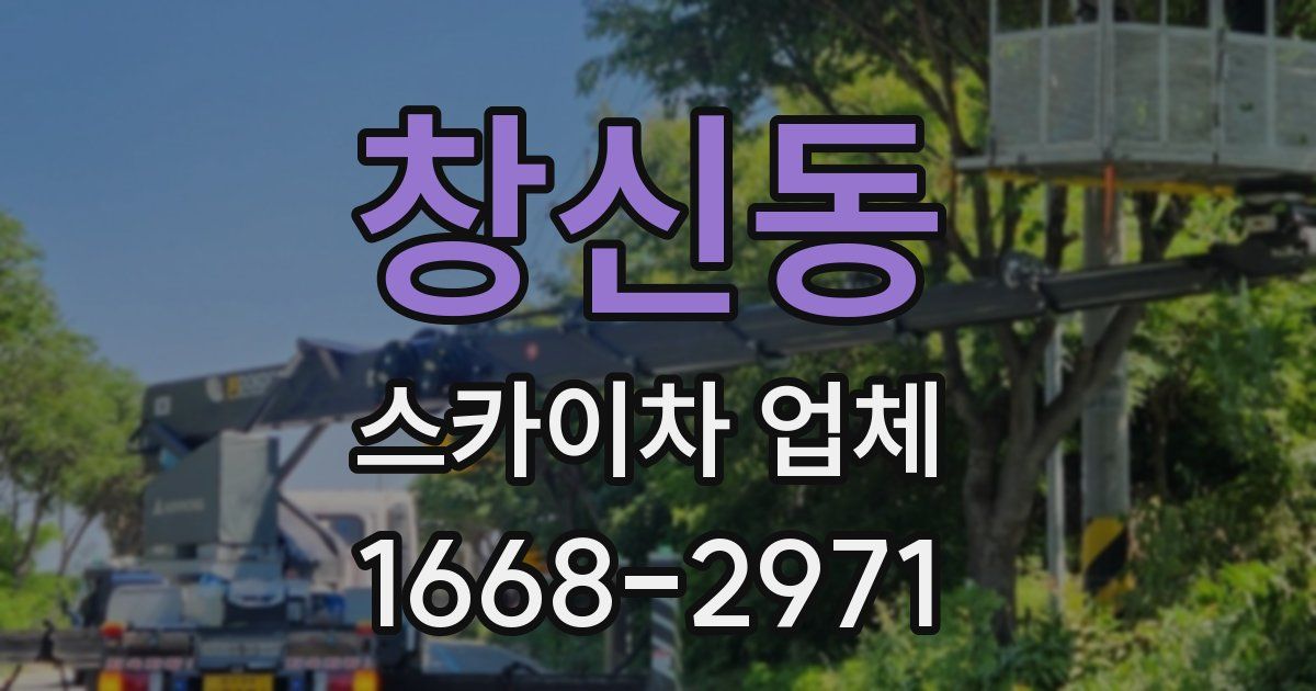 창신동 스카이차 업체