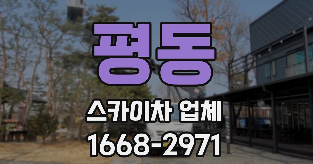 평동 스카이차 업체
