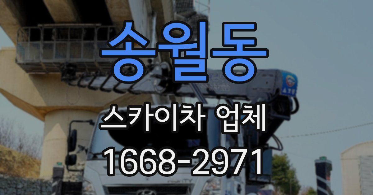 송월동 스카이차 업체