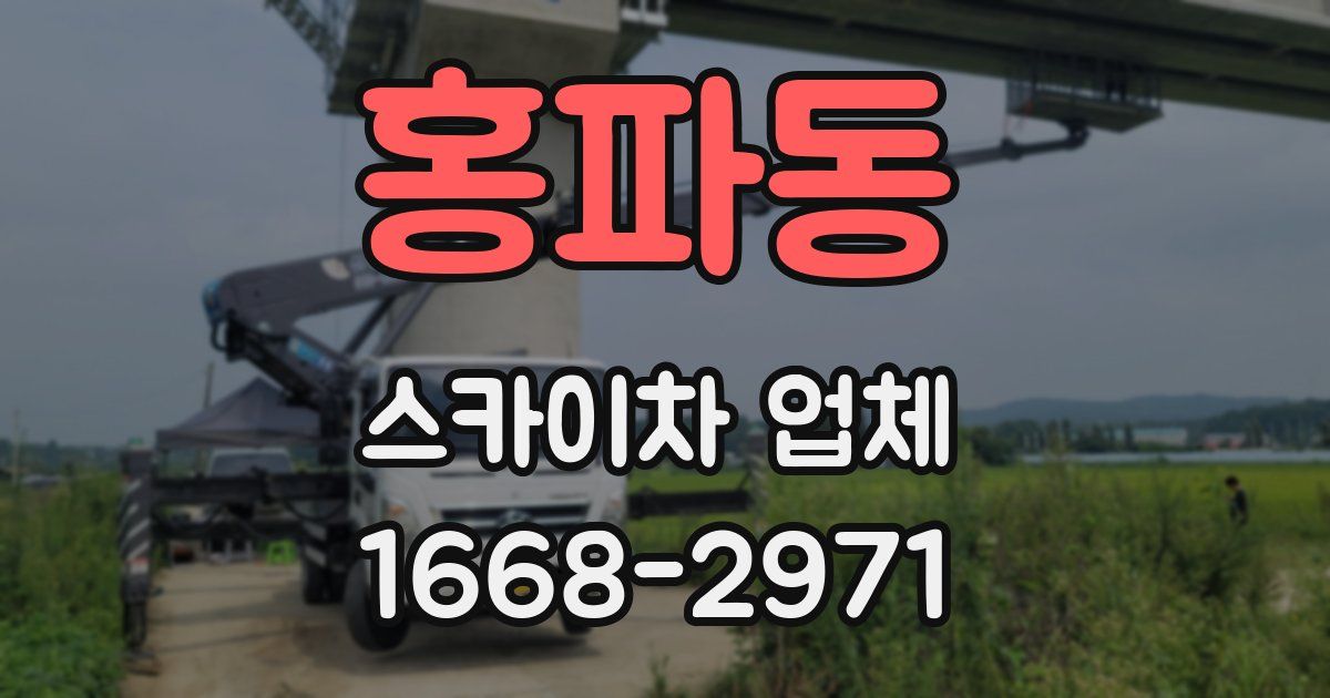 홍파동 스카이차 업체