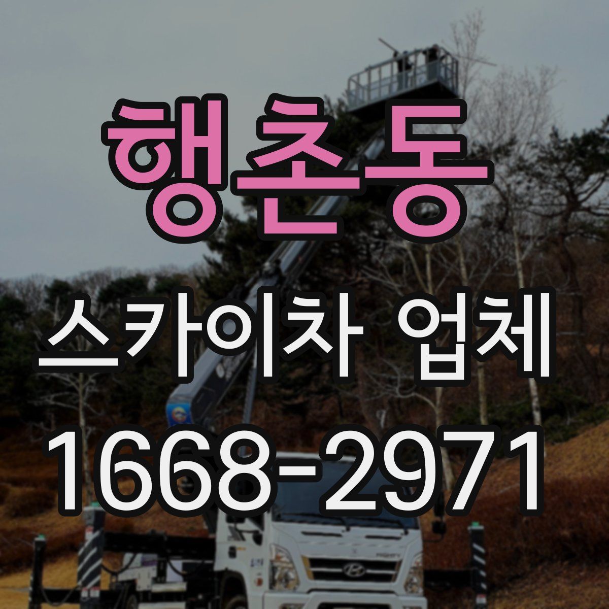 행촌동 스카이차 업체