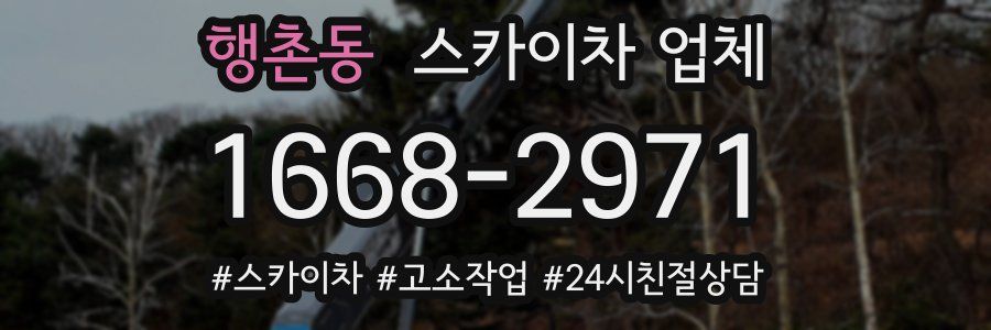행촌동 스카이차 업체