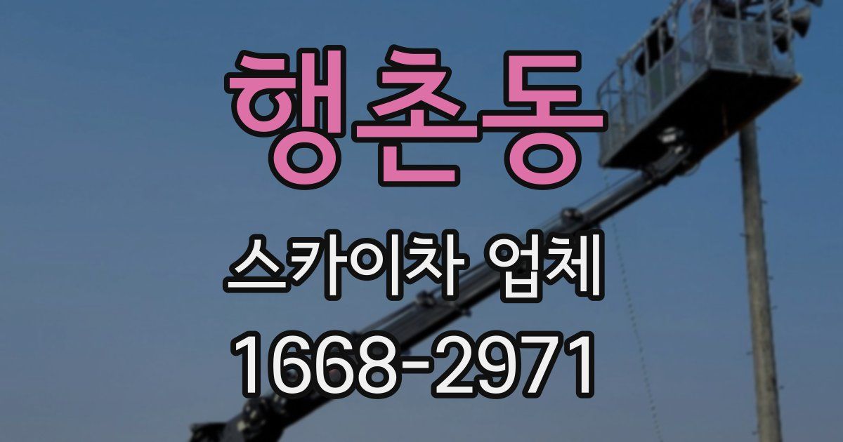 행촌동 스카이차 업체