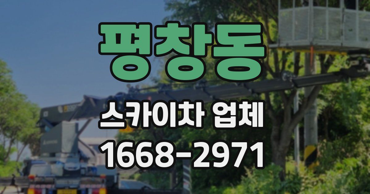 평창동 스카이차 업체