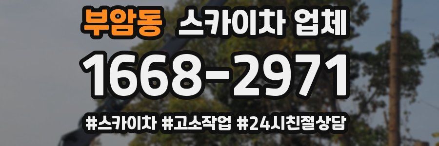 부암동 스카이차 업체