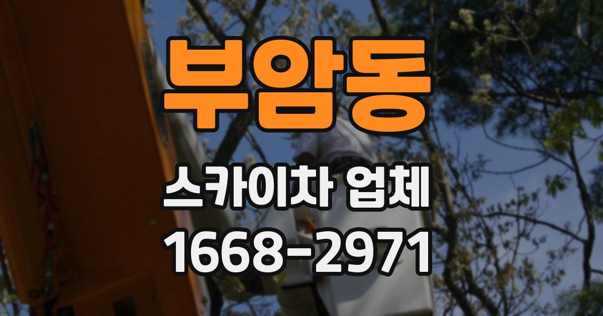 부암동 스카이차 업체