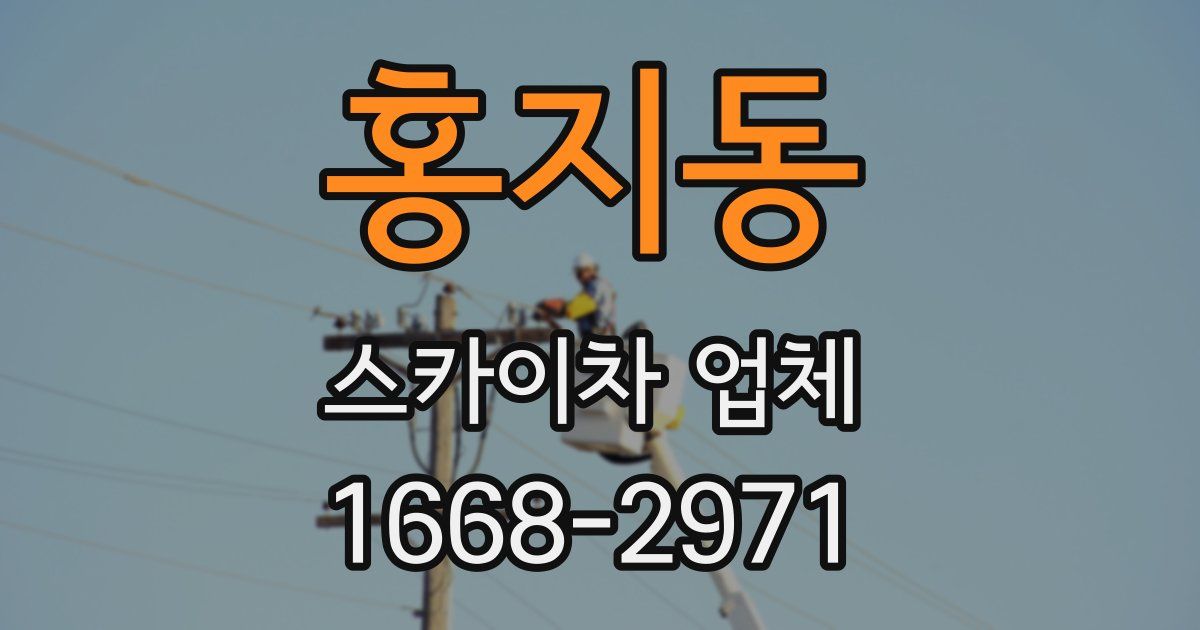 홍지동 스카이차 업체