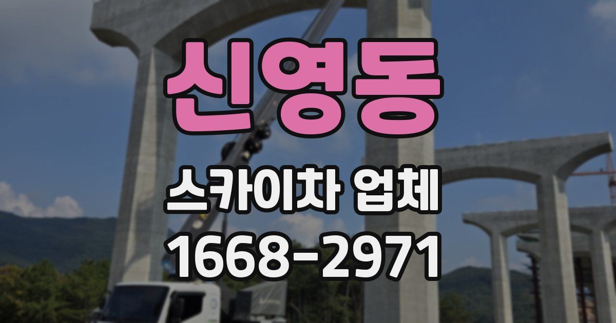 신영동 스카이차 업체