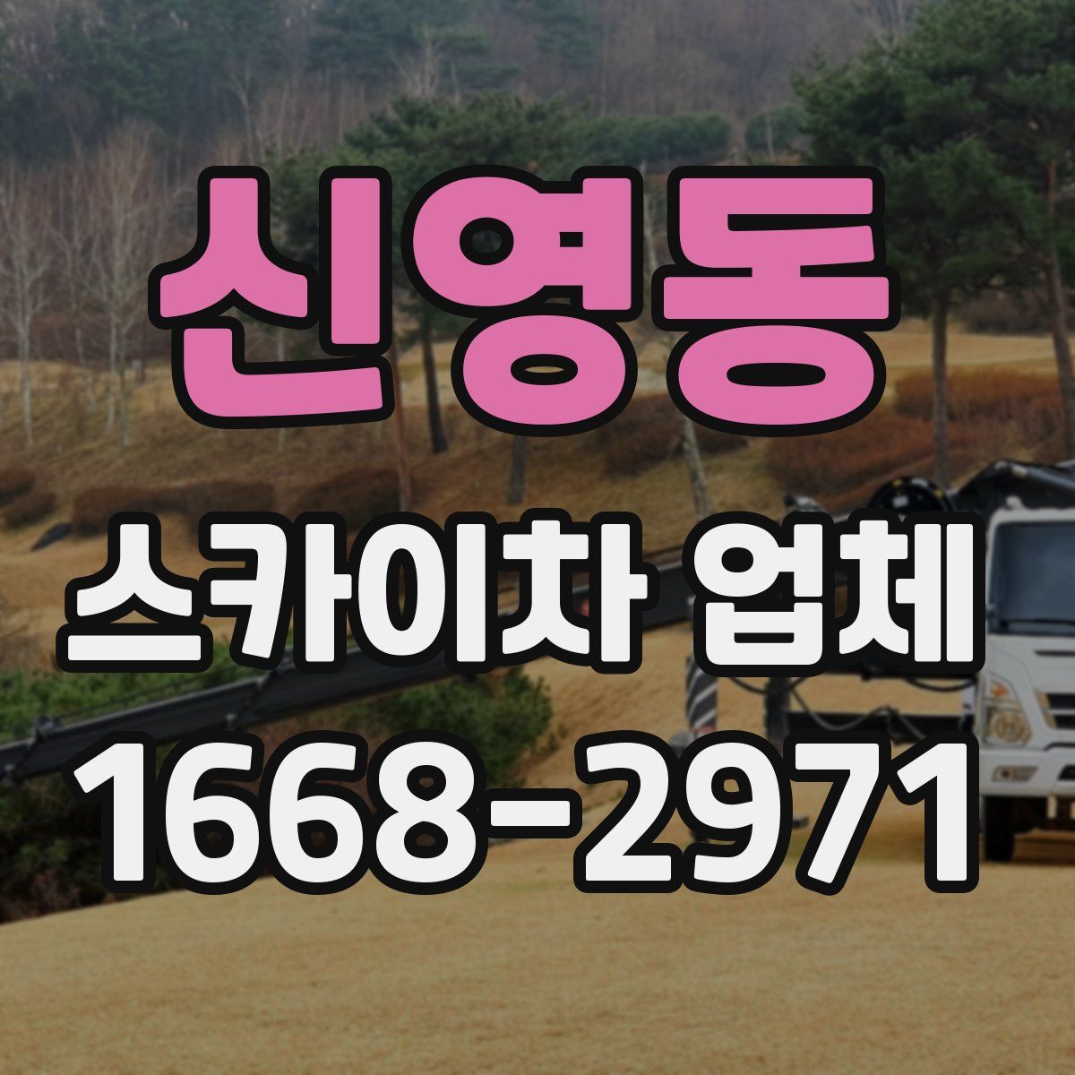 신영동 스카이차 업체