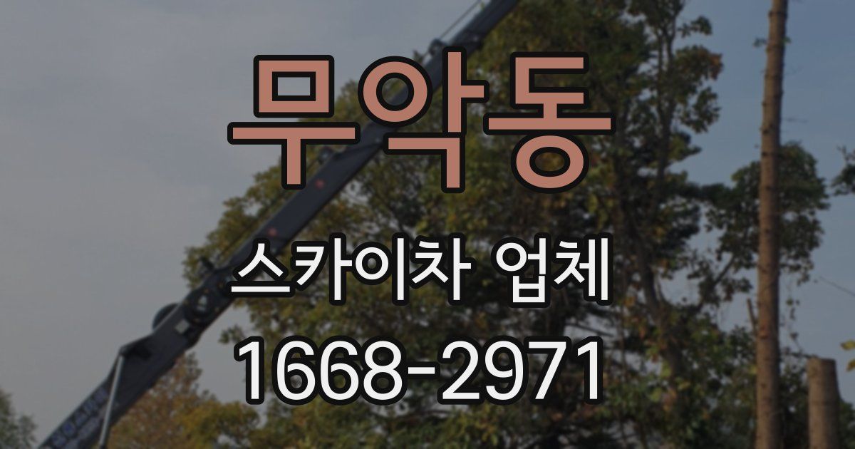무악동 스카이차 업체