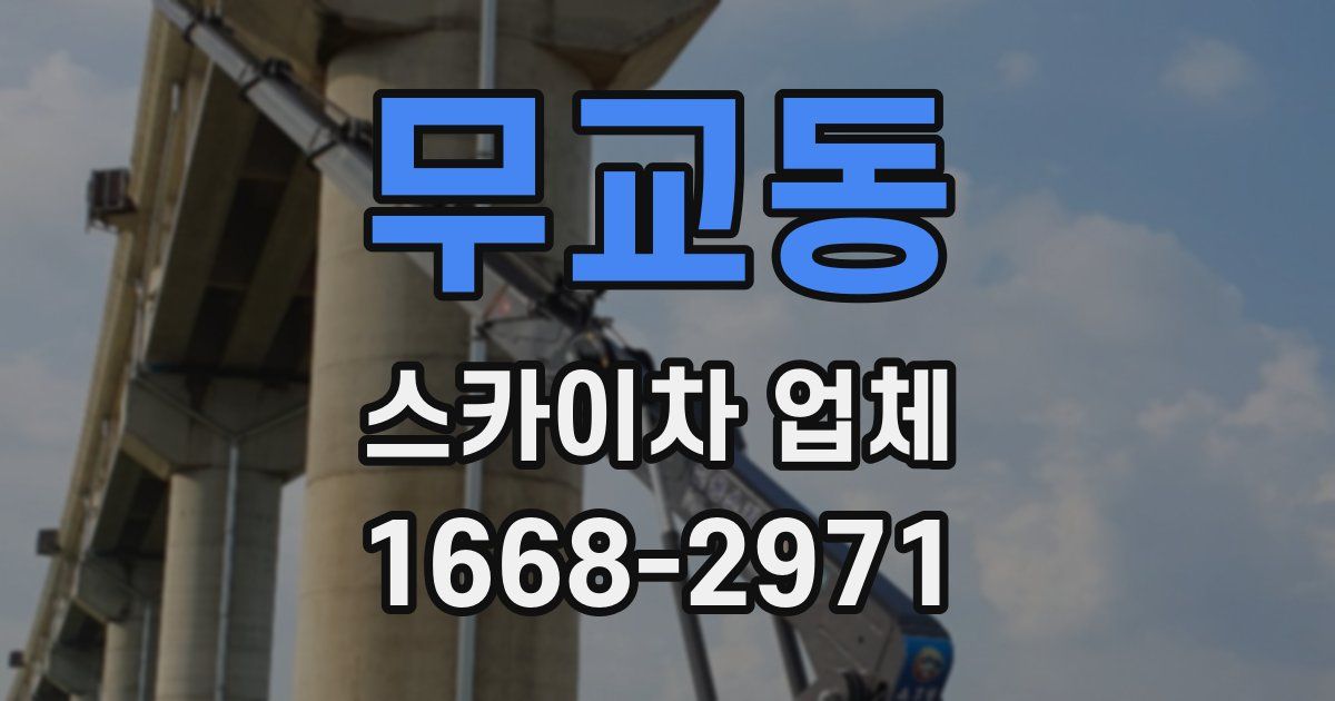 무교동 스카이차 업체