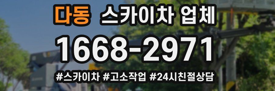 다동 스카이차 업체