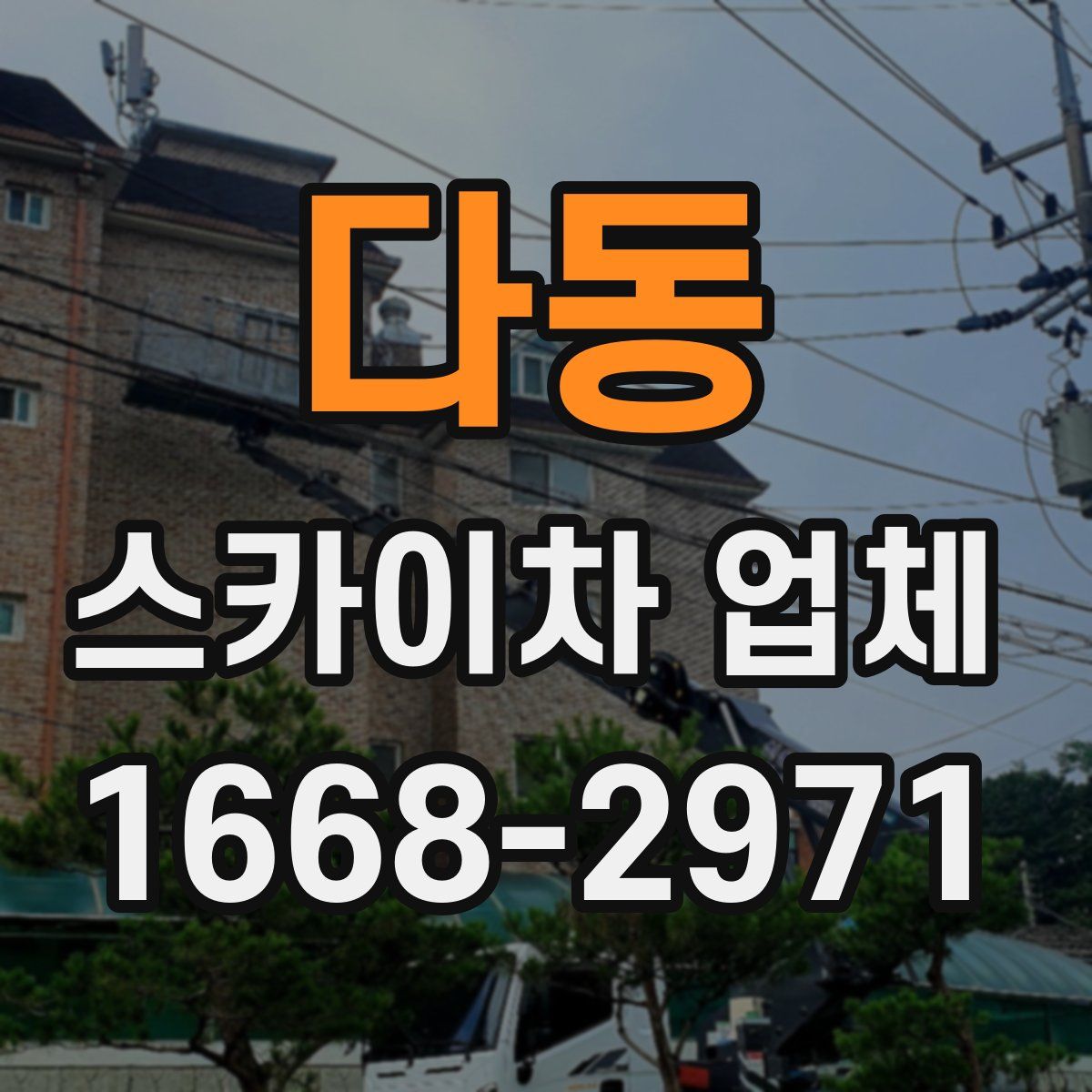 다동 스카이차 업체