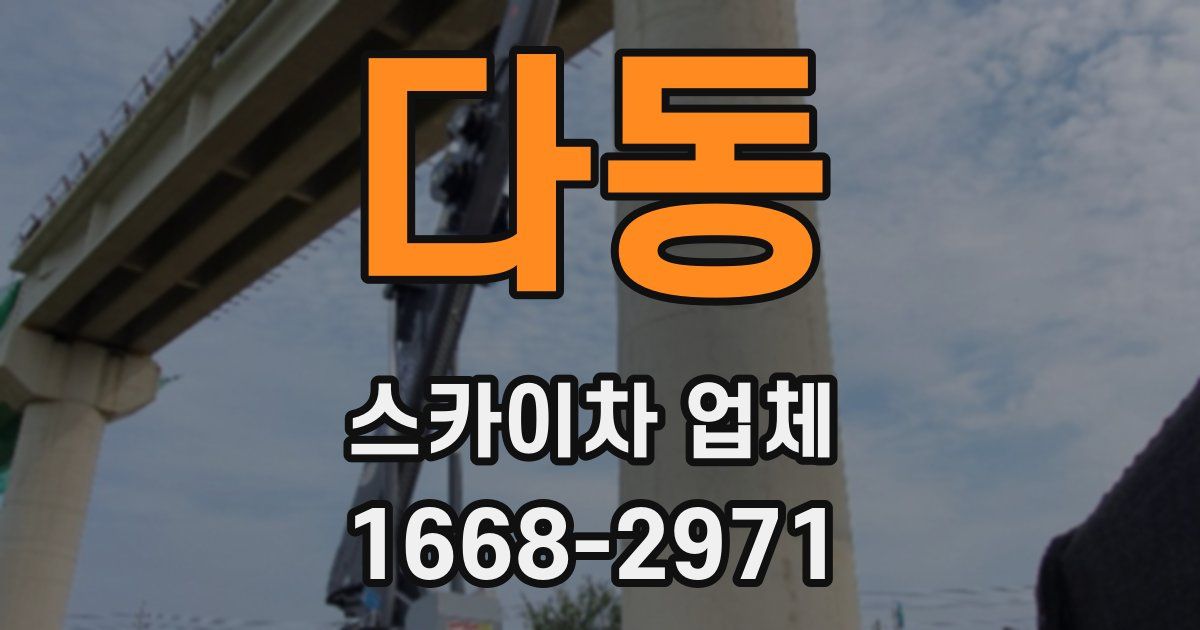 다동 스카이차 업체