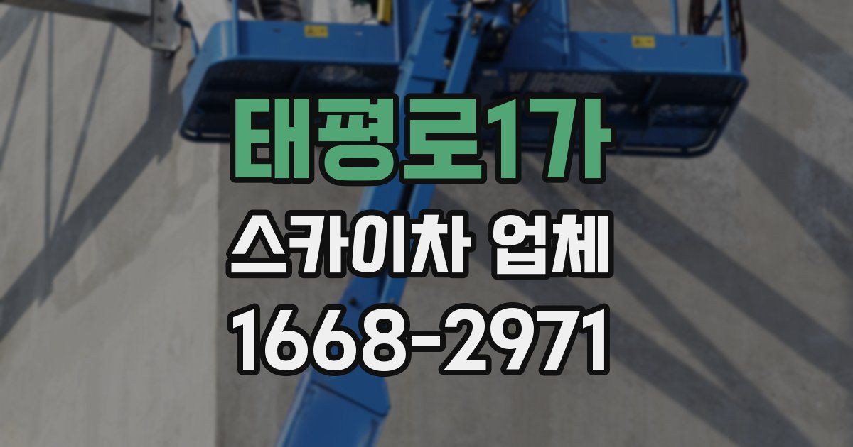 태평로1가 스카이차 업체