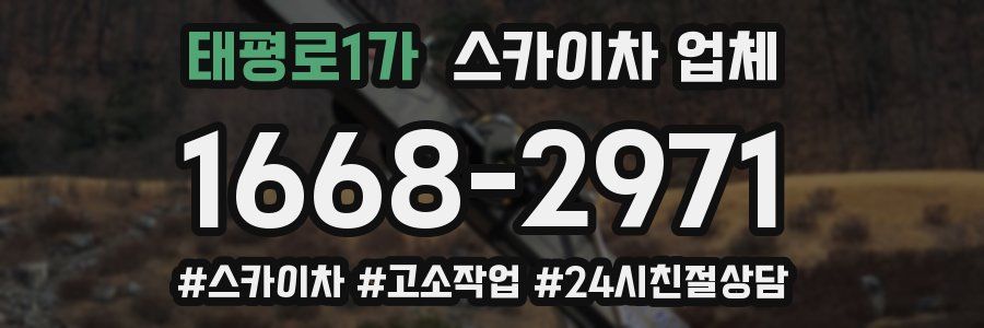 태평로1가 스카이차 업체
