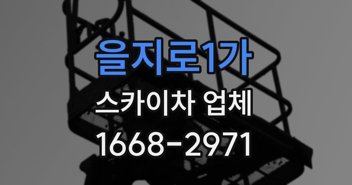 을지로1가 스카이차 업체