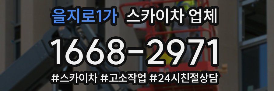 을지로1가 스카이차 업체