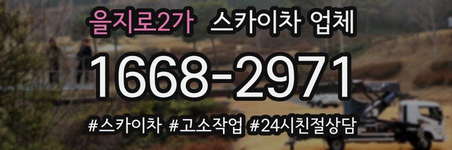 을지로2가 스카이차 업체