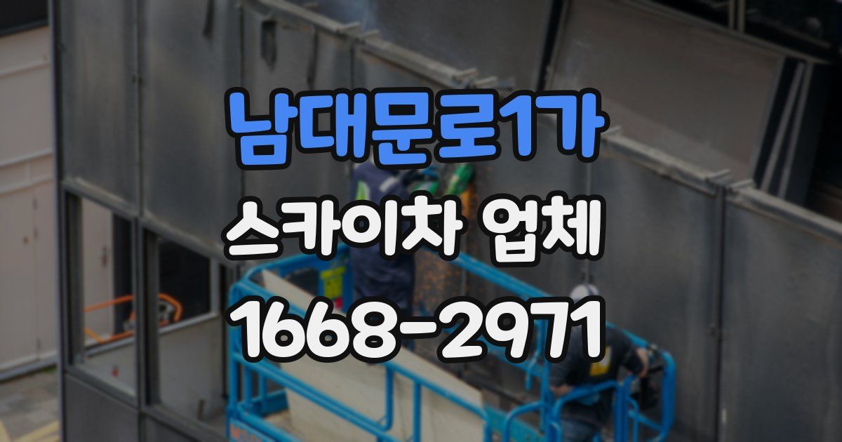 남대문로1가 스카이차 업체