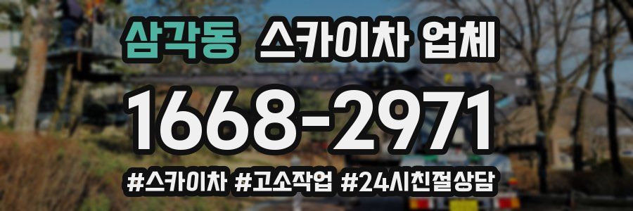 삼각동 스카이차 업체