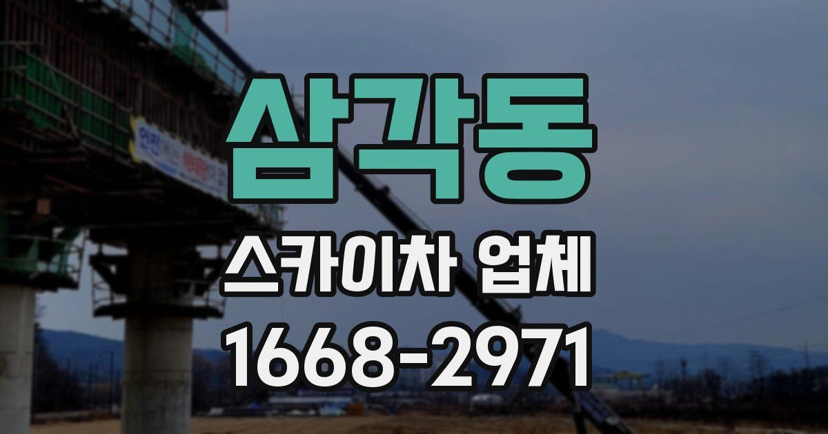 삼각동 스카이차 업체