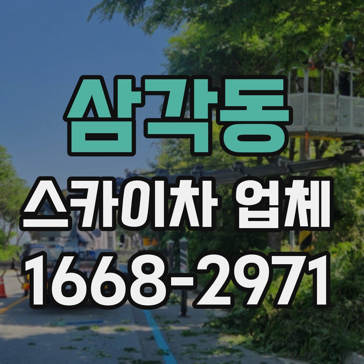 삼각동 스카이차 업체