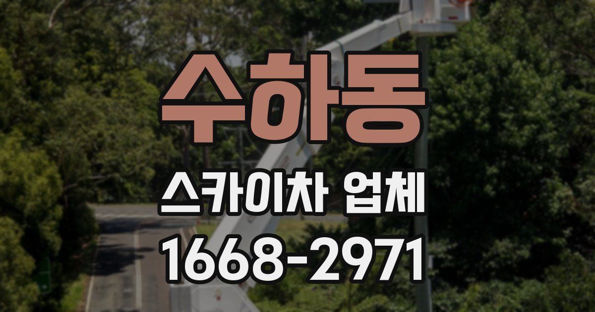수하동 스카이차 업체