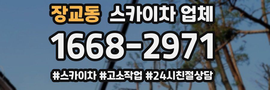 장교동 스카이차 업체